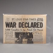 Regular Tabloid Sleeves / Folded Ne